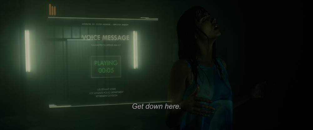 Blade Runner 2049 PGS Subtitle